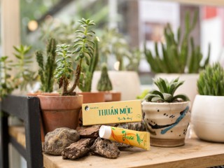 Sản phẩm Kem bôi da Thuần Mộc bị thu hồi, đơn vị sản xuất lên tiếng