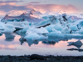 Iceland - Quốc gia chỉ có một con muỗi