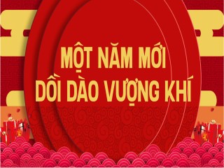 NHỮNG ĐIỀU NÊN LÀM VÀO CÁC DỊP TẾT ĐỂ MỘT NĂM MỚI DỒI DÀO VƯỢNG KHÍ