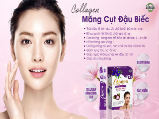 Góc Xu Hướng: Collagen Măng cụt đậu biếc quan trọng trong công cuộc tân trang nhan sắc phái đẹp như thế nào