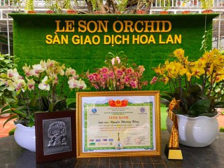 Nguyễn Phương Hồng, chủ Vườn Lan Lê Sơn (Hòa Bình)